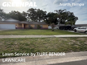 Lawn mowed in Lake Magdalene, 33618