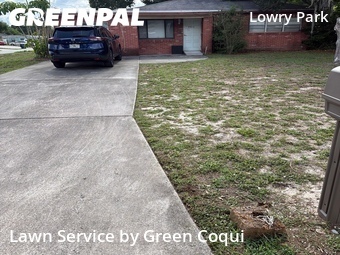 Lawn Mow nearby Tampa, FL, 