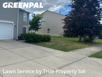 Lawn Cut nearby Indianapolis, IN, 