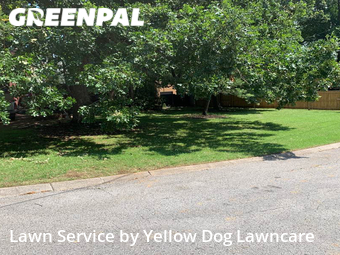 Lawn Cutting nearby Nashville, TN, 