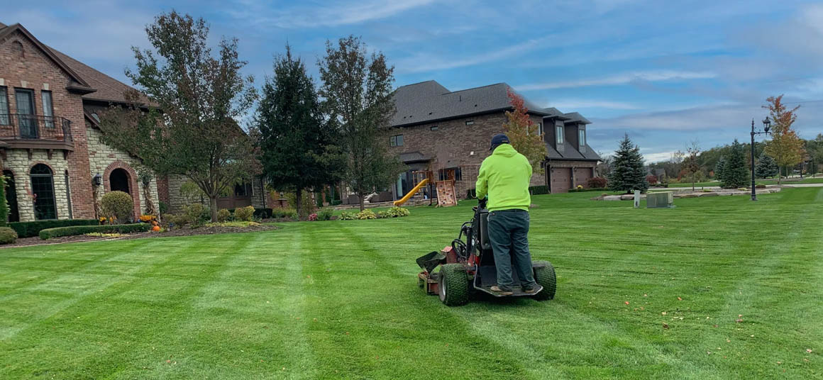 Best starter lawn mower sale