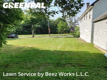 Grass Cut nearby Buffalo, NY, 