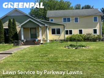 Lawn Mow nearby Swannanoa, NC, 