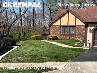 Commercial Landscaping In Columbus,43230,Landscaping Cleanup by Ace Of Blades, Llc., work completed in Apr , 2026