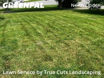 Lawn Maintenance nearby Columbus, OH, 