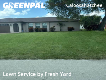 Lawn Maintenance nearby Cape Coral, FL, 