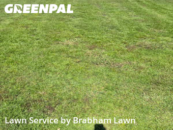 Lawn Service nearby Gonzales, LA, 