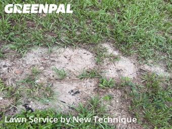 Lawn Cut nearby Lake Mary, FL, 