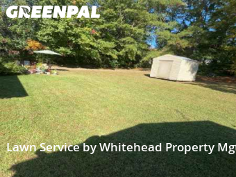 Yard Care in Columbus, 31909, Yard Care Services by Whitehead Property Mgt , work completed in Nov , 2025