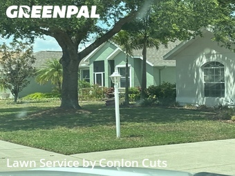 Grass Cutting nearby Palmetto, FL, 