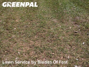 Lawn Cut nearby Riverdale, GA, 