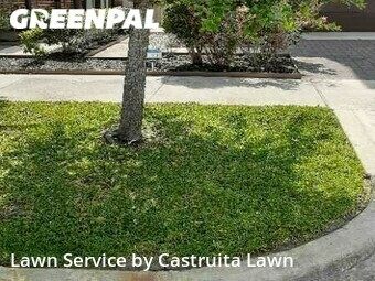 Lawn Maintenance nearby Houston, TX, 