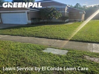 Lawn Mowing Service nearby Orlando, FL, 