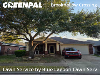 Lawn Carein Houston,77084,Yard Mowing by Blue Lagoon Lawn Serv, work completed in Dec , 2025
