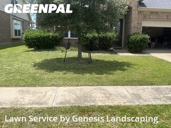 Lawn Mow nearby Katy, TX, 