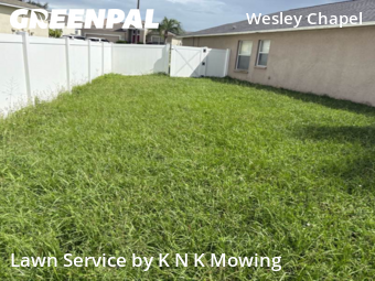 Grass Cut nearby Wesley Chapel, FL, 