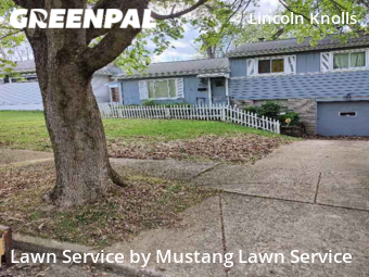 Lawn Maintenance nearby Youngstown, OH, 