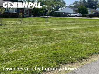 Lawn Mowing nearby Alexandria, MD, 