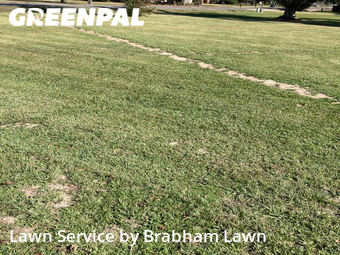 Lawn Cut nearby Gonzales, LA, 