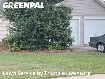 Yard Cutting nearby Raleigh, NC, 