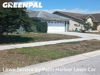 Grass Cutting nearby Palm Harbor, FL, 