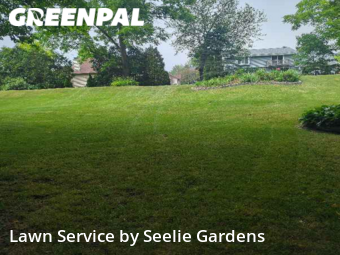 Lawn Mow nearby Grafton, WI, 