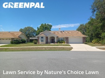 Lawn Mowing nearby Beverly Hills, FL, 