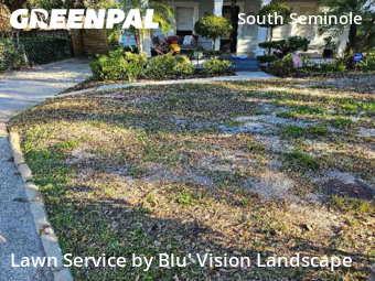 Lawn mowed in Tampa, 33603