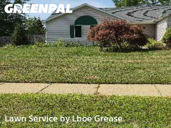 Lawn Mowing Service nearby De Witt, MI, 
