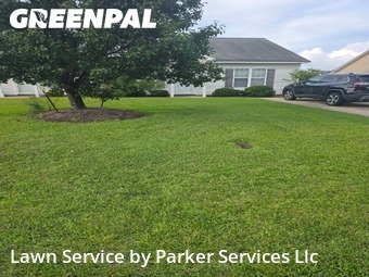 Yard Cutting nearby Greenville, NC, 