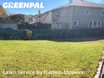 Commercial Landscaping In Yonkers,10703,Landscaping by Harlem Mowers, work completed in Oct , 2025