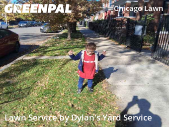 Yard Cutting nearby Chicago, IL, 