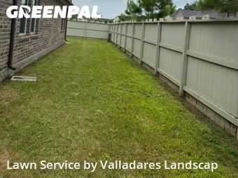Lawn Cut nearby Shenandoah, TX, 