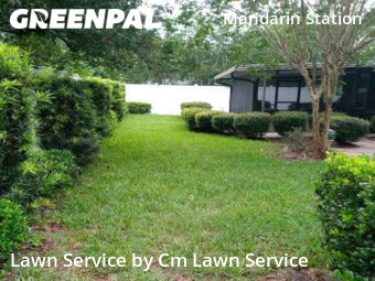 Lawn Mow nearby Jacksonville, FL, 