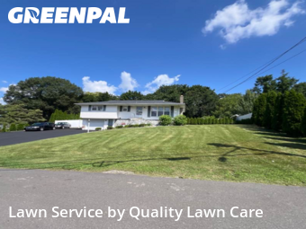 Yard Services in Waterbury, 6705, Yard Care by Quality Lawn Care, work completed in Oct , 2025