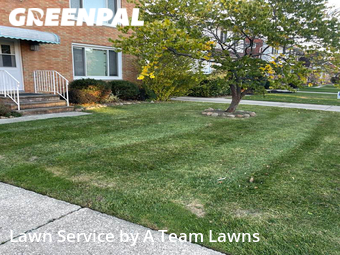 Grass Cut nearby Euclid, OH, 