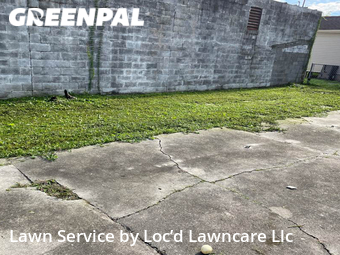 Grass Cut nearby New Orleans, LA, 
