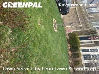 Grass Cut nearby Olathe, KS, 