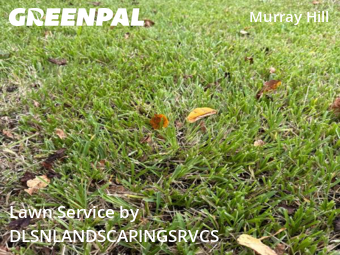 Grass Cutting nearby Jacksonville, FL, 