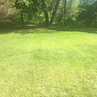 affordable-lawn-services-in-Bloomington-MN
