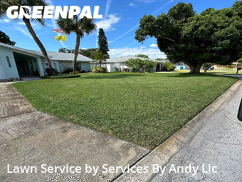 Grass Cut nearby Largo, FL, 