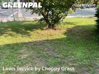 Local Lawn And Landscape Maintenance Services Near Me In Jersey City,7305,Landscaping Renovation by Choppy Grass, work completed in Jul , 2026