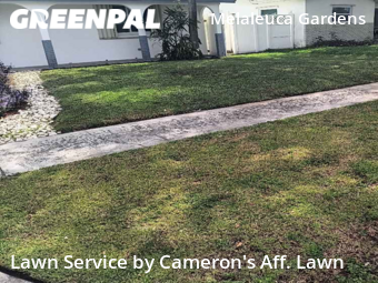 Grass Cut nearby Dania Beach, FL, 