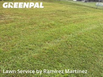 Grass Cut nearby Durham, NC, 