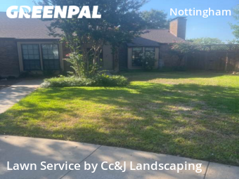Lawn Cut nearby Carrollton, TX, 