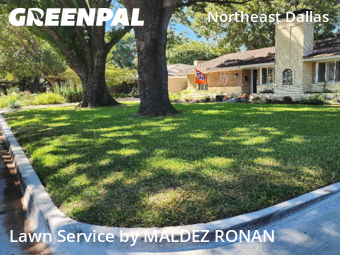 Lawn Mowing Servicein Dallas,75231,Yard Mowing by MALDEZ RONAN, work completed in Nov , 2025