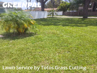 Lawn Mowing Servicein Ocoee,34761,Lawn Cutting by Totos Grass Cutting, work completed in Nov , 2025