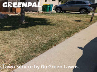Lawn Maintenance nearby Brighton, CO, 