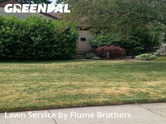 Yard Cutting nearby Roseville, MI, 