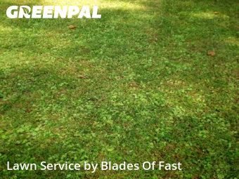 Grass Cutin East Point,30344,Yard Mowing by Blades Of Fast, work completed in Dec , 2025